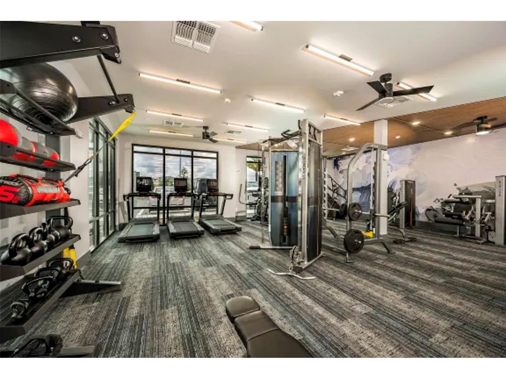 7527 Lantern Park Avenue Apollo Beach FL 33572 TB8523585 image30