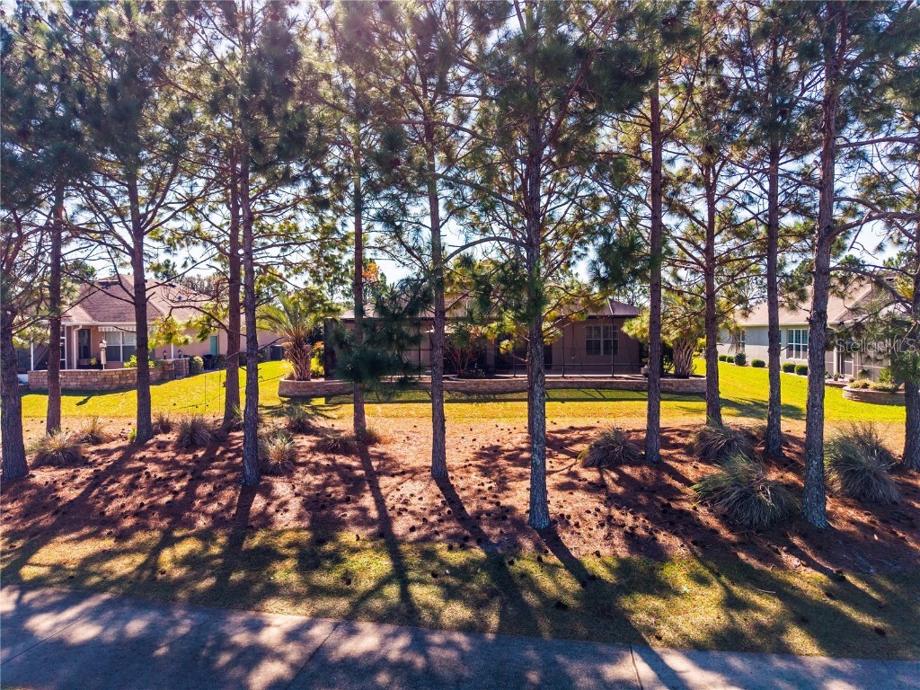 7527 SW 97th Terrace Road Ocala FL 34481 OM713631 image83