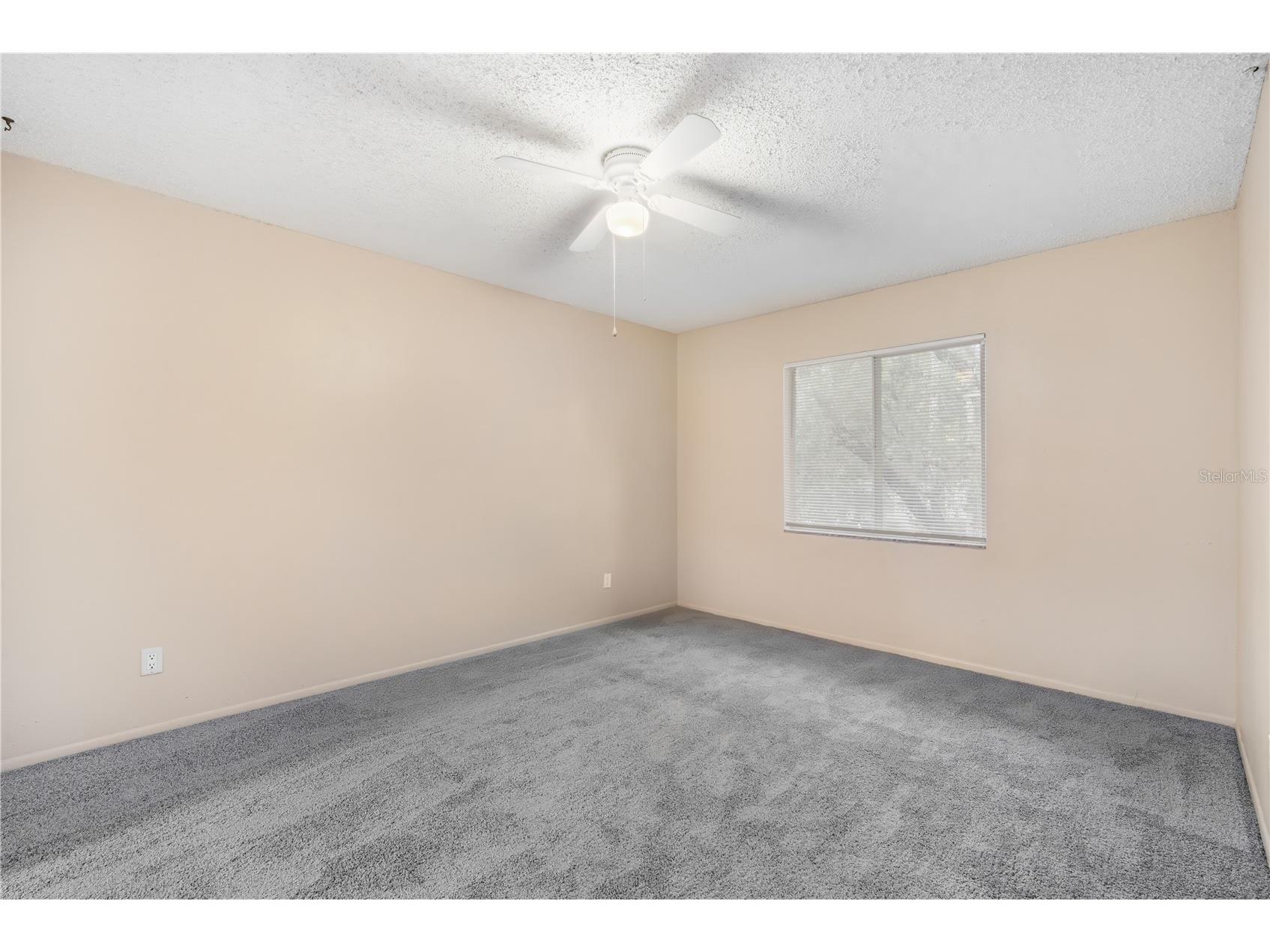 7529 Pitch Pine Circle #D Tampa FL 33617 TB8449982 image10