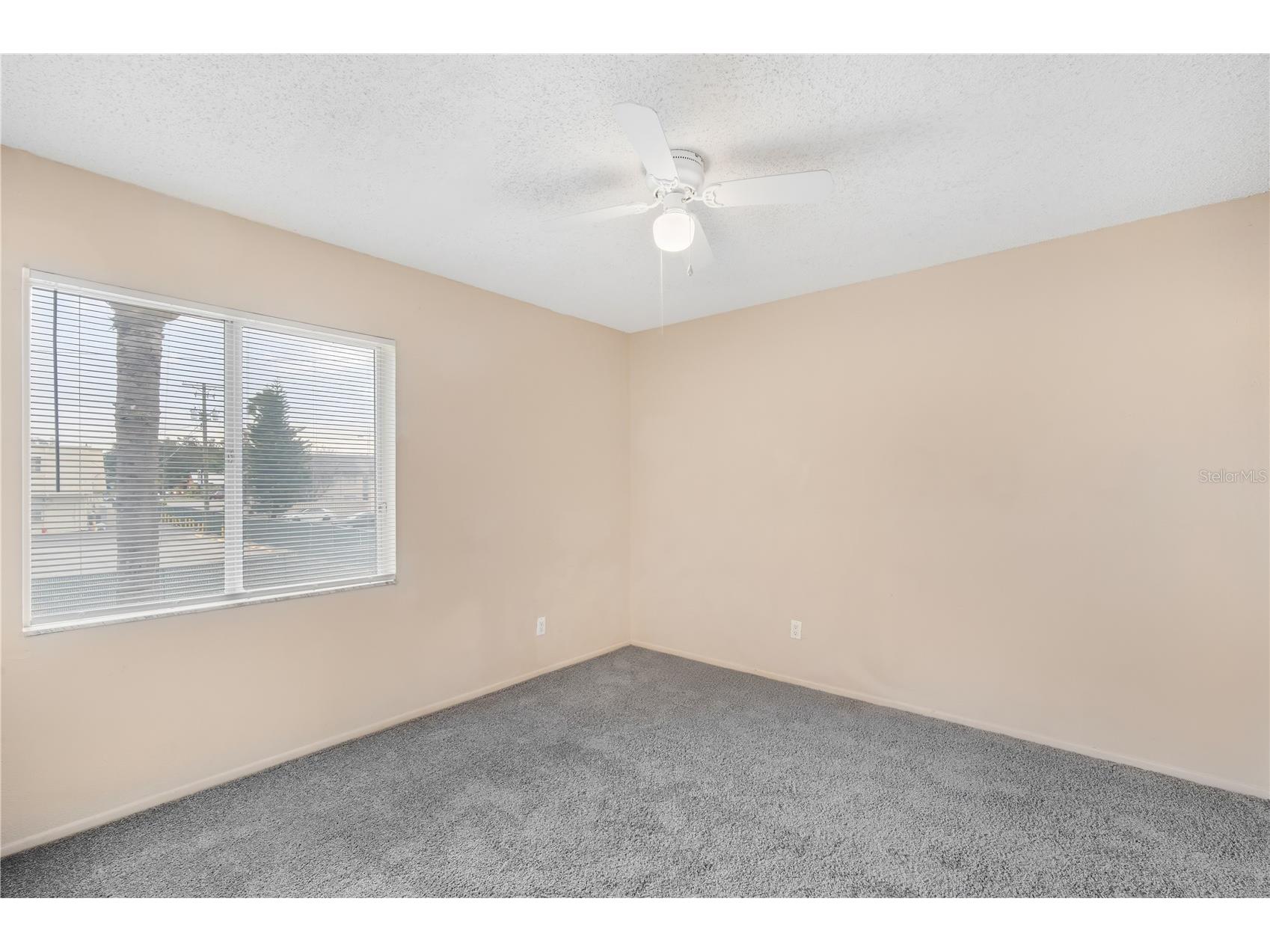 7529 Pitch Pine Circle #D Tampa FL 33617 TB8449982 image5