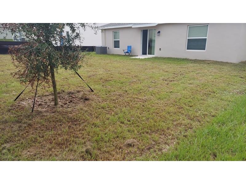 753 Citrus Reserve Boulevard Davenport FL 33837 S5134585 image13