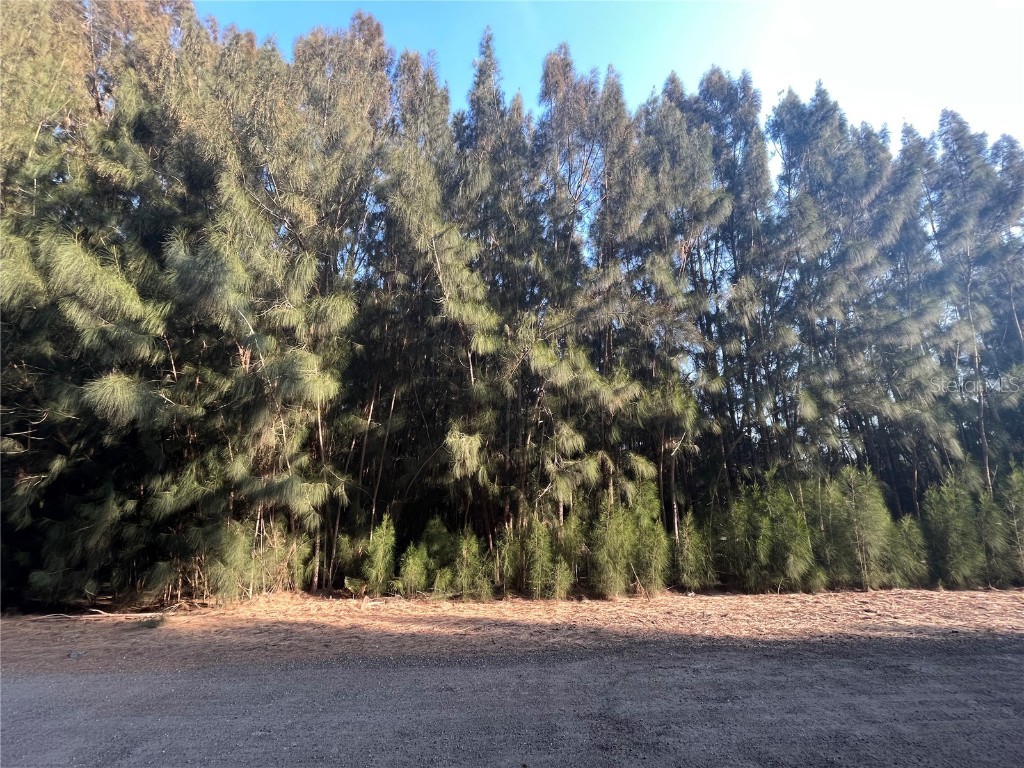 753 Kingfisher Street SW Palm Bay FL 32908 OK222564 image1