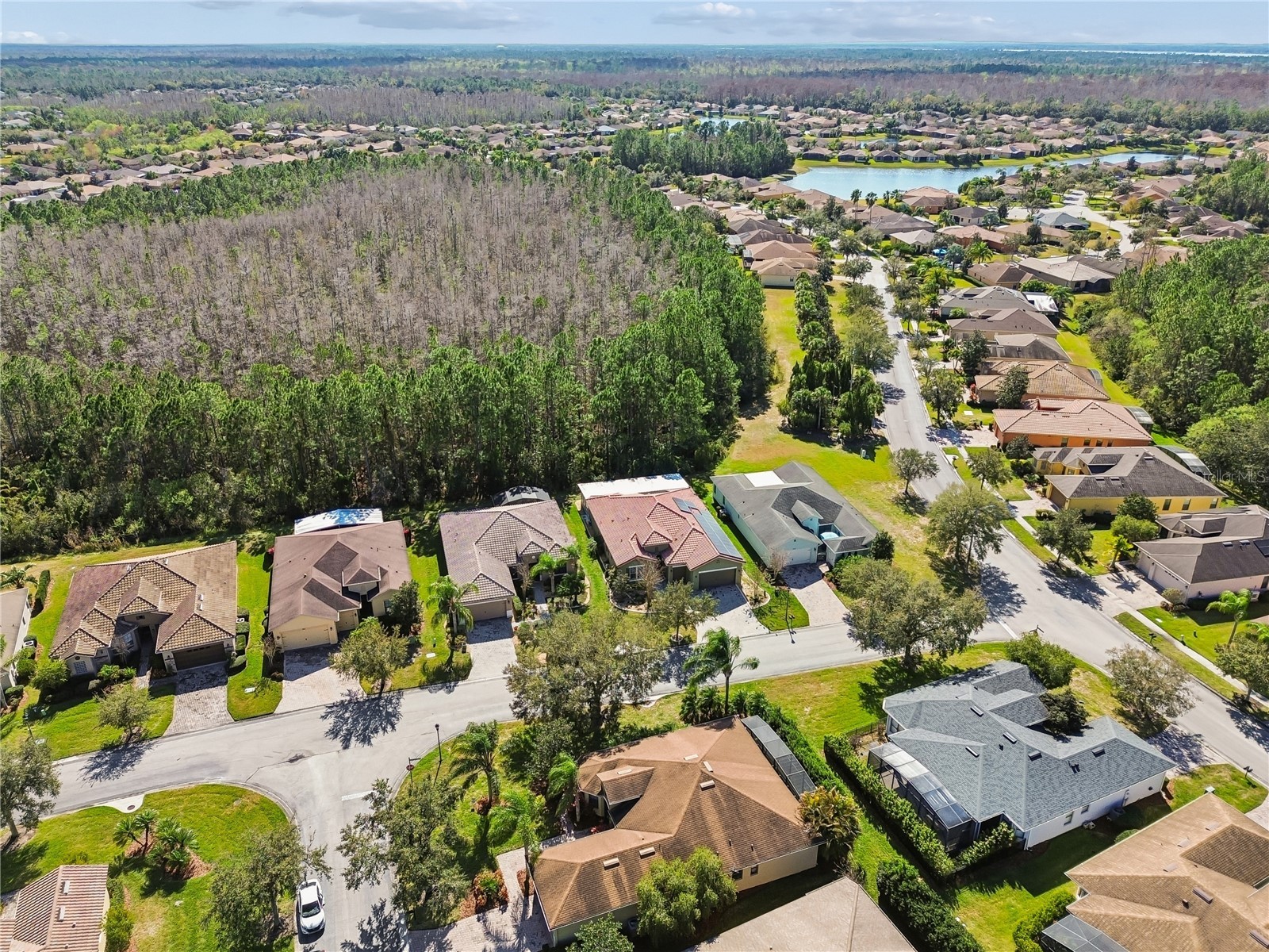 753 Villa Park Rd Poinciana FL 34759 S5142650 image70