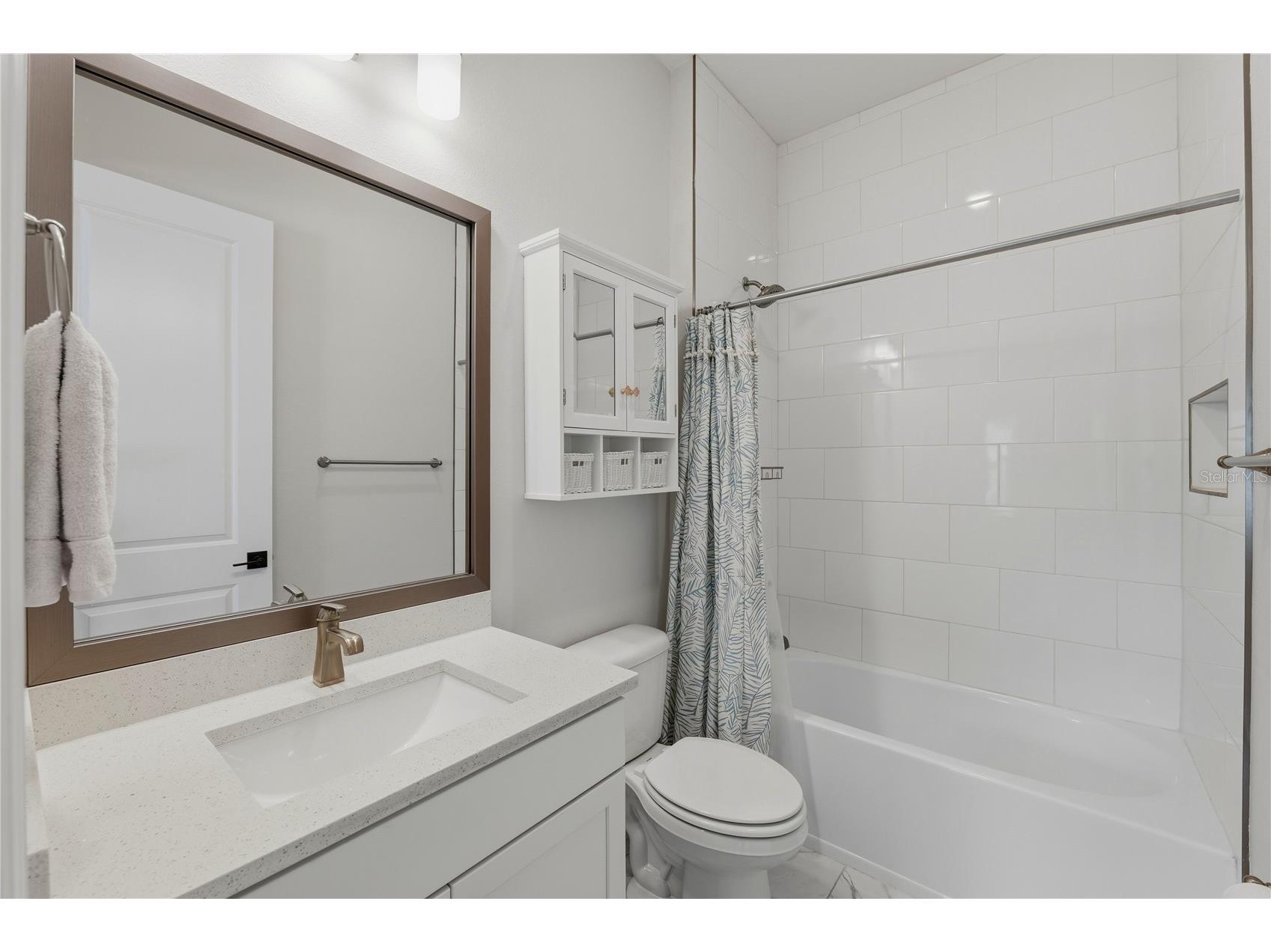 7530 Ashbrooke Pine Loop Odessa FL 33556 TB8518711 image23