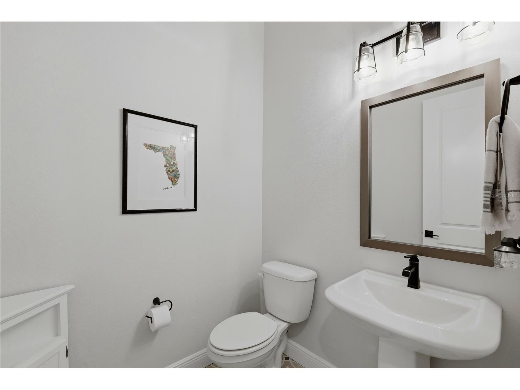 7530 Ashbrooke Pine Loop Odessa FL 33556 TB8518711 image27