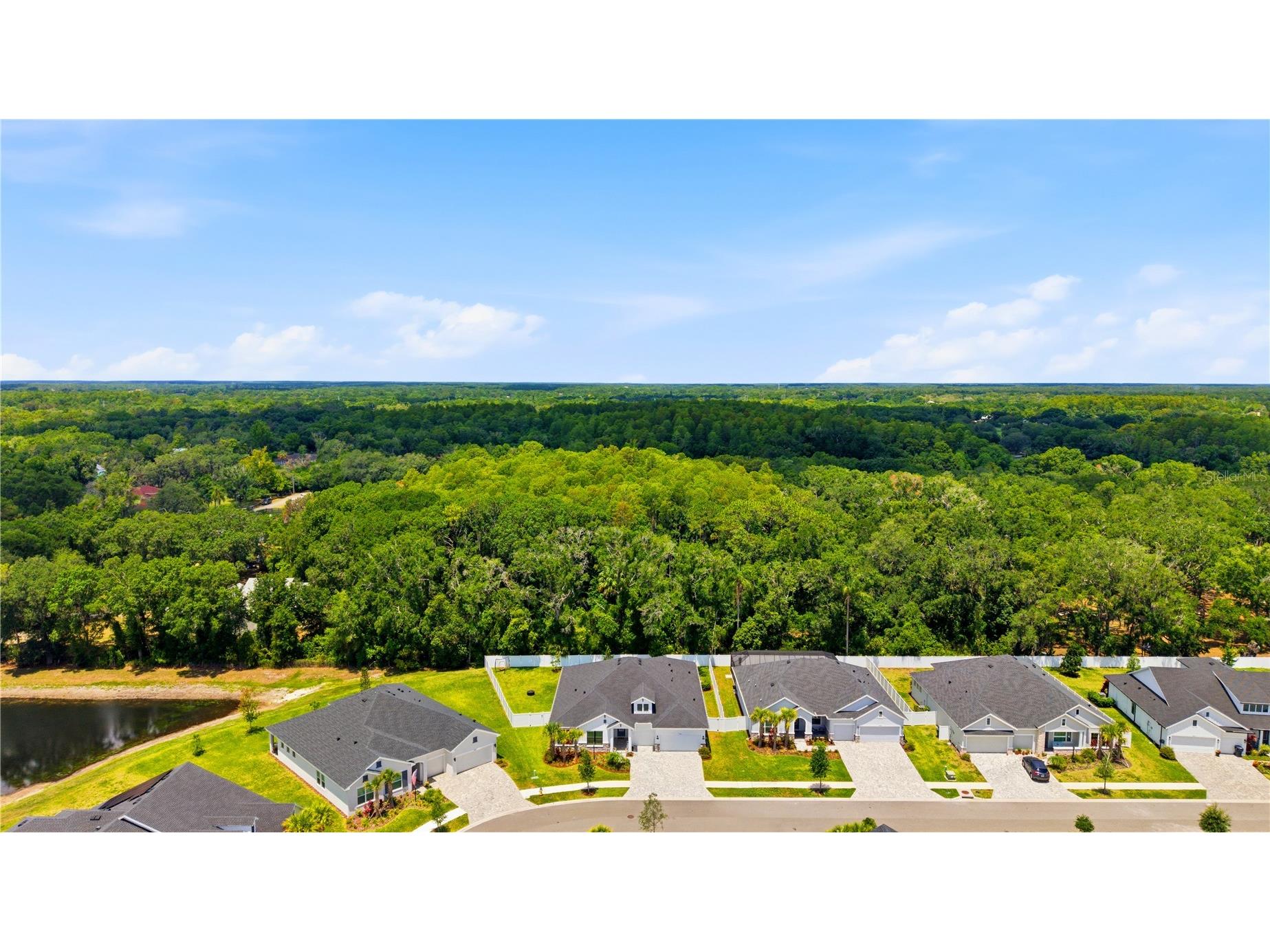 7530 Ashbrooke Pine Loop Odessa FL 33556 TB8518711 image38