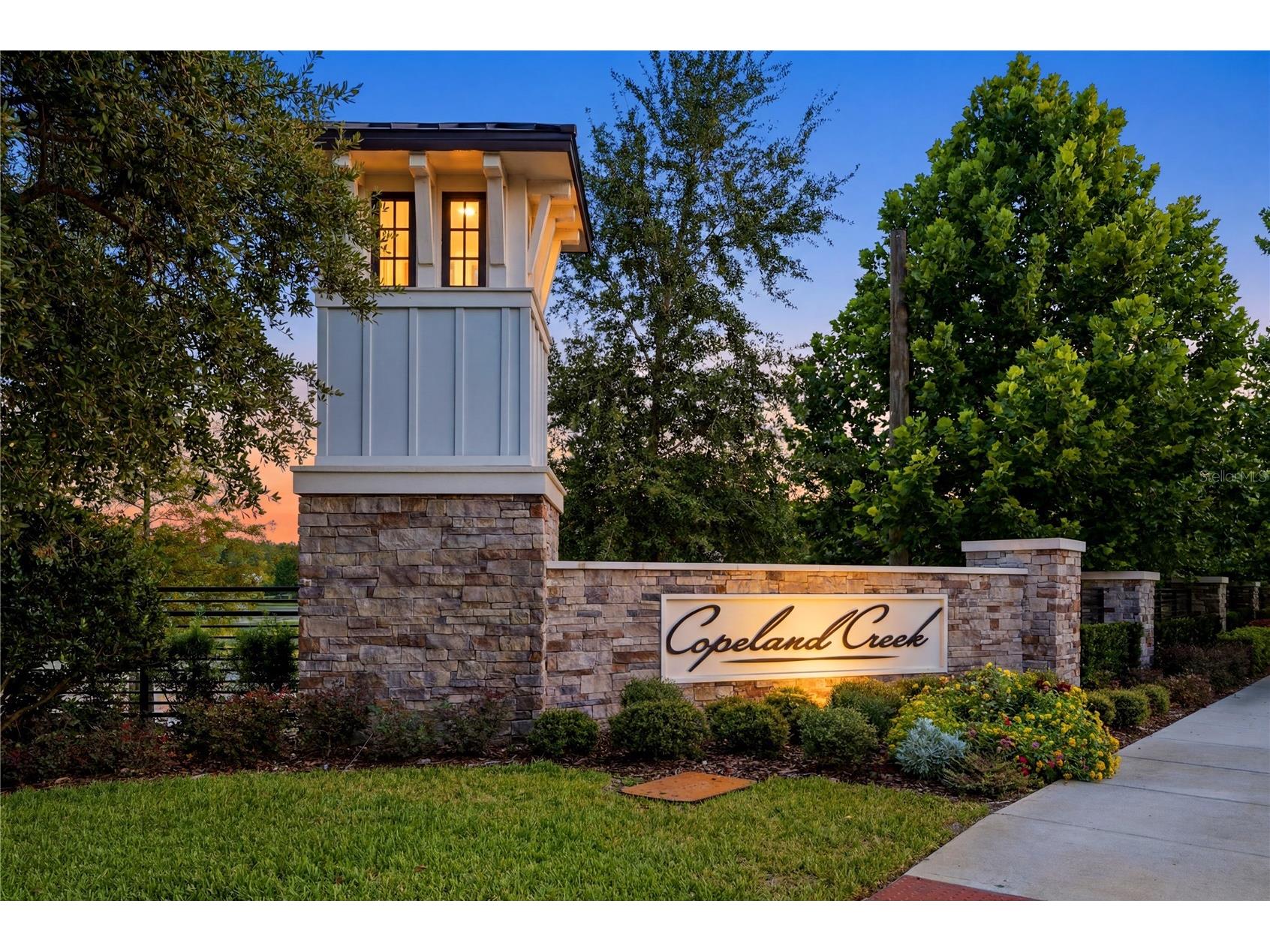 7530 Ashbrooke Pine Loop Odessa FL 33556 TB8518711 image41