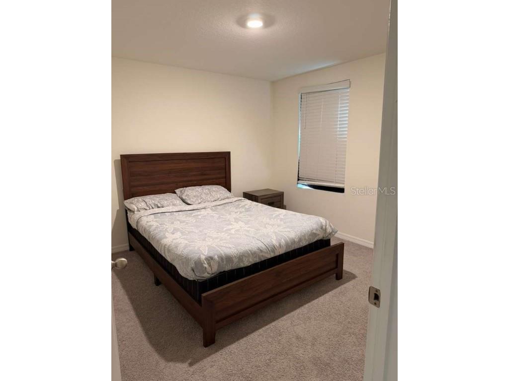 7530 Broad Pointe Drive Zephyrhills FL 33540 TB8446551 image10