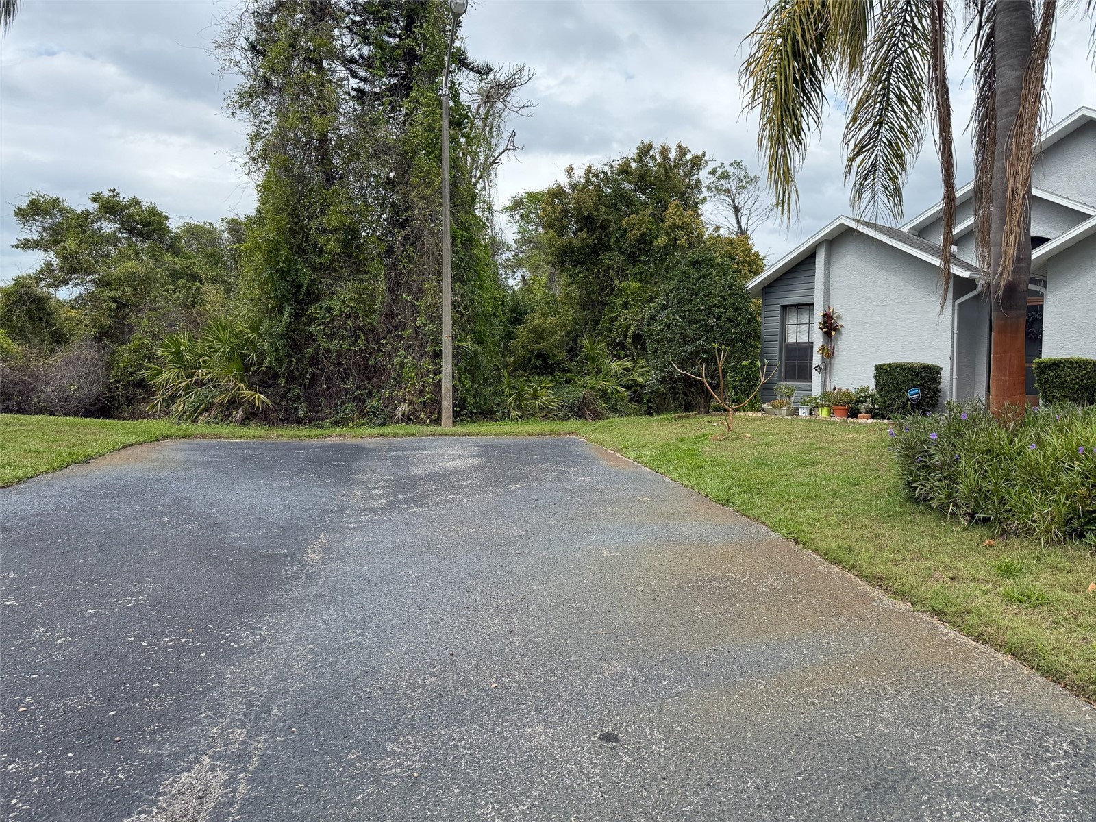 7530 Roy Court New Port Richey FL 34654 W7883985 image12