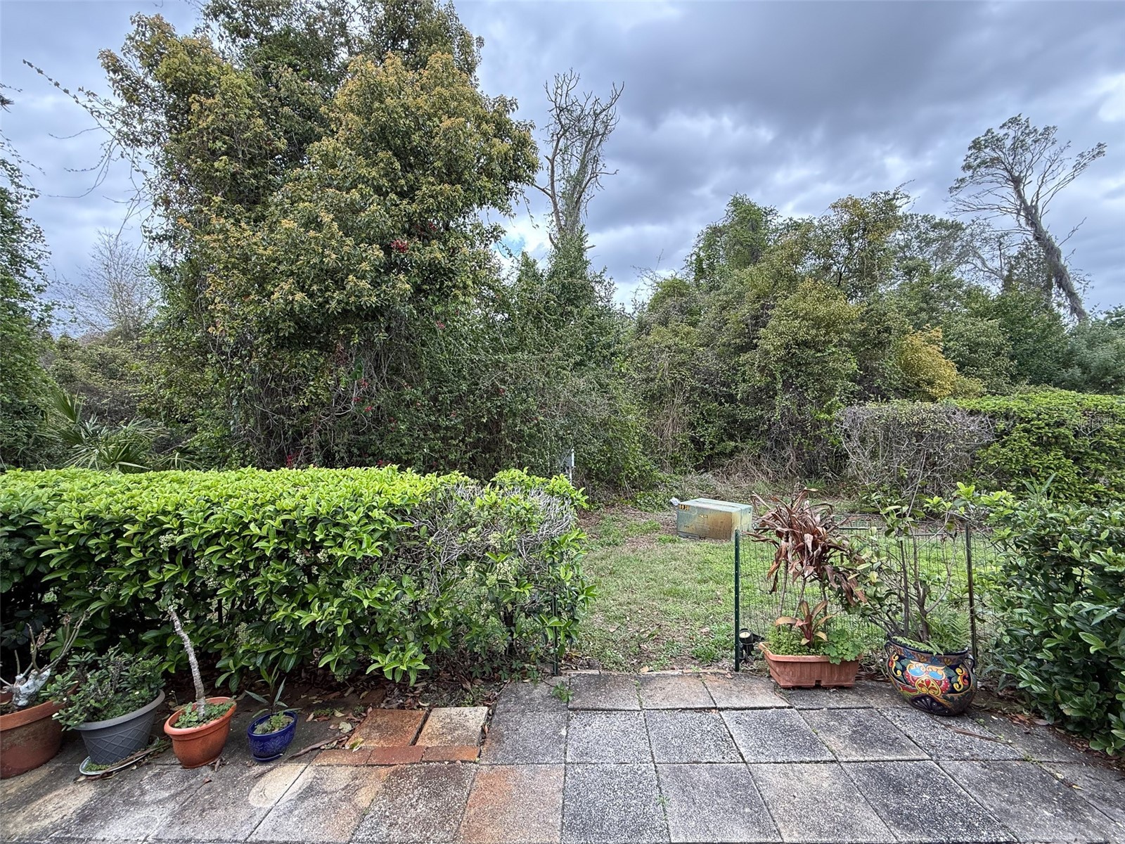7530 Roy Court New Port Richey FL 34654 W7883985 image33