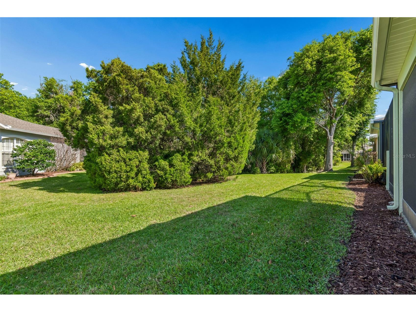 7533 Deer Path Lane Land O Lakes FL 34637 TB8485932 image19