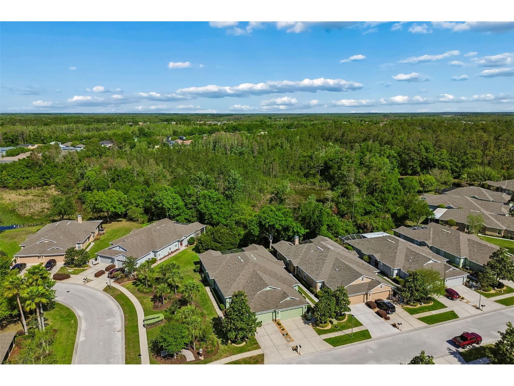 7533 Deer Path Lane Land O Lakes FL 34637 TB8485932 image2