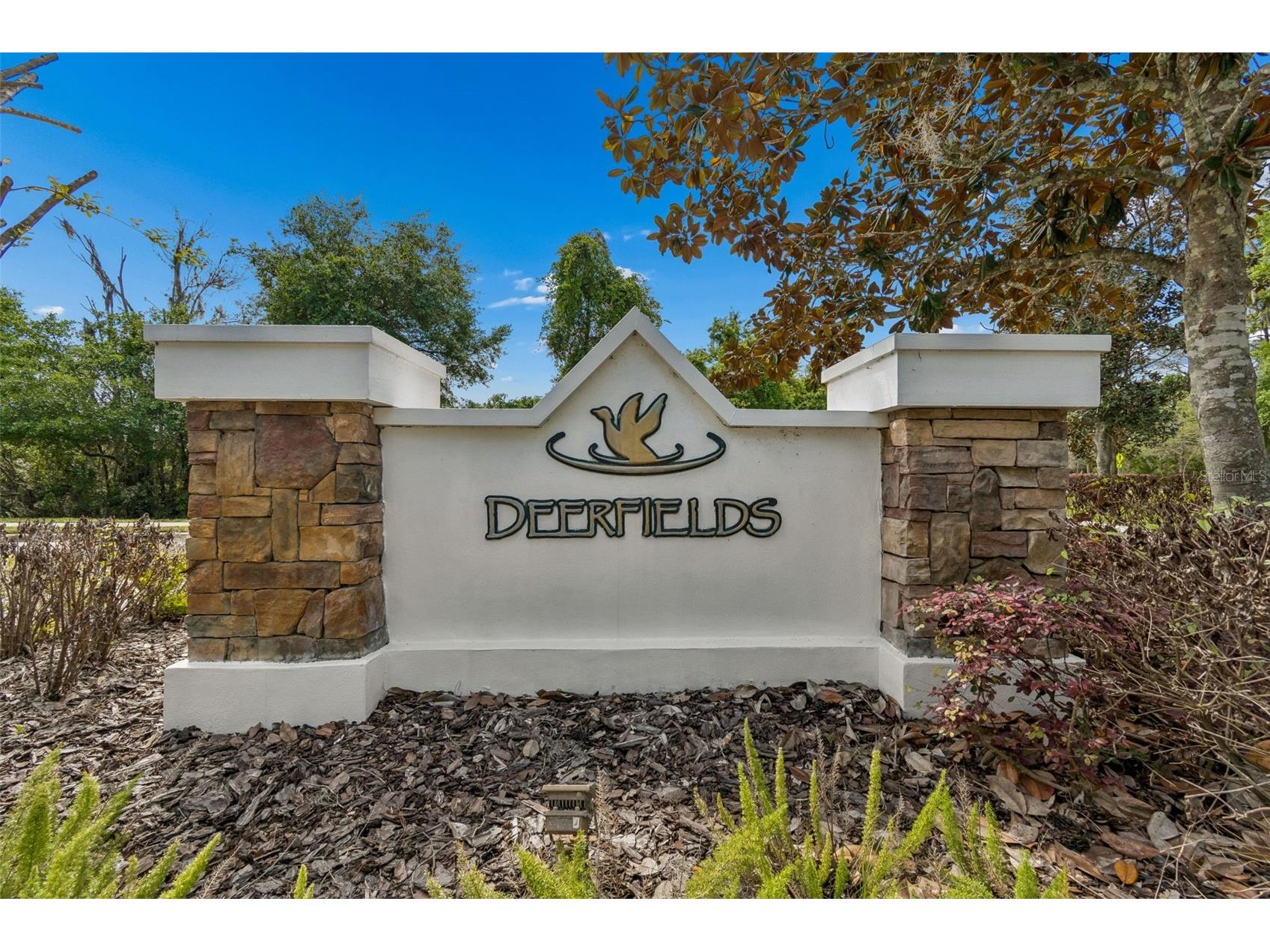 7533 Deer Path Lane Land O Lakes FL 34637 TB8485932 image66