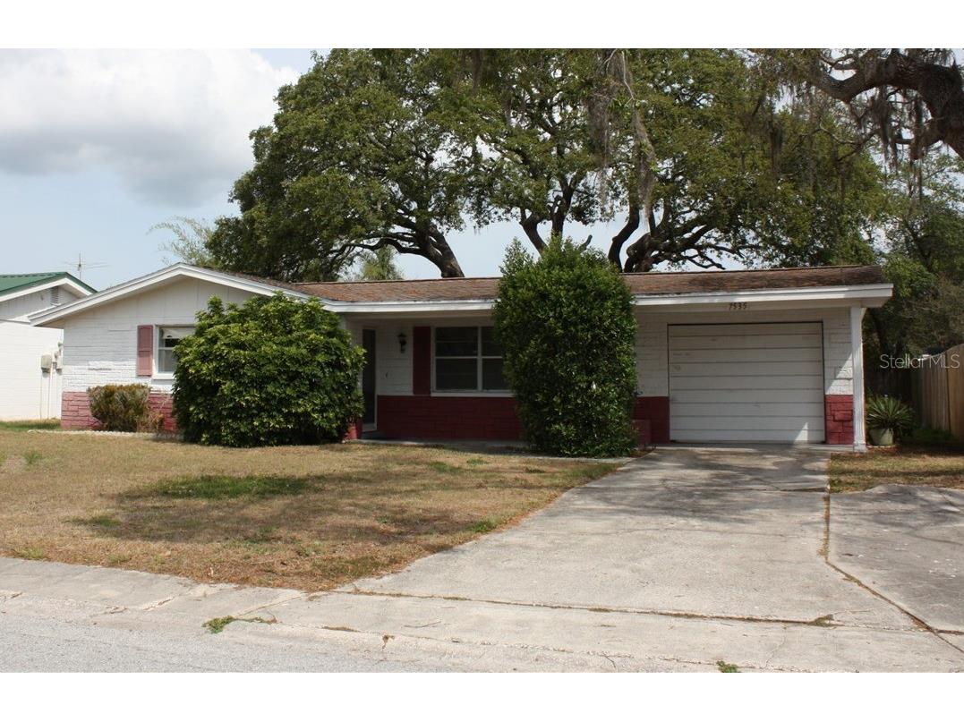 7535 Betula Drive New Port Richey FL 34653 TB8380929 image1