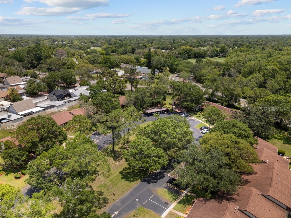 7535 Greystone Drive Hudson FL 34667 TB8387959 image29