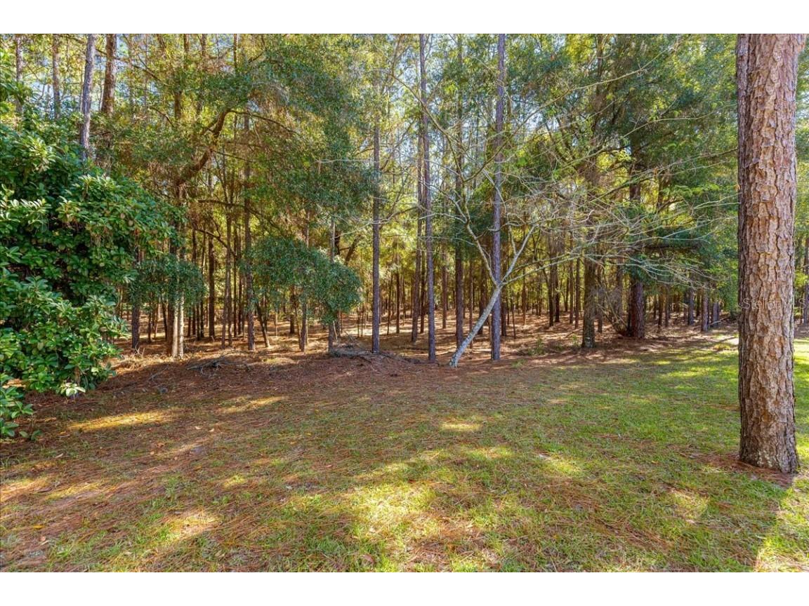 7535 SW 185th Avenue Road Dunnellon FL 34432 OM713516 image49