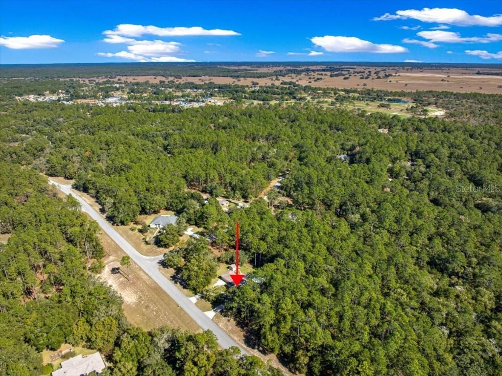 7535 SW 185th Avenue Road Dunnellon FL 34432 OM713516 image51