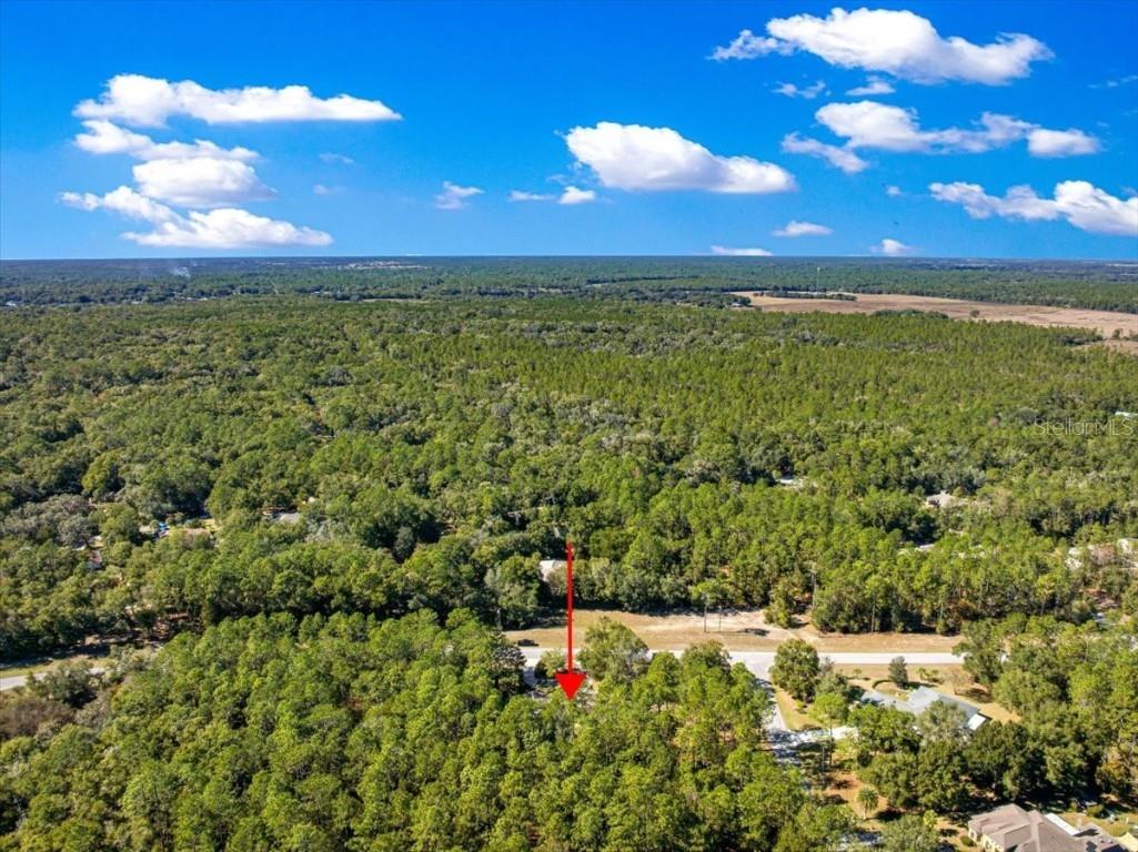 7535 SW 185th Avenue Road Dunnellon FL 34432 OM713516 image52