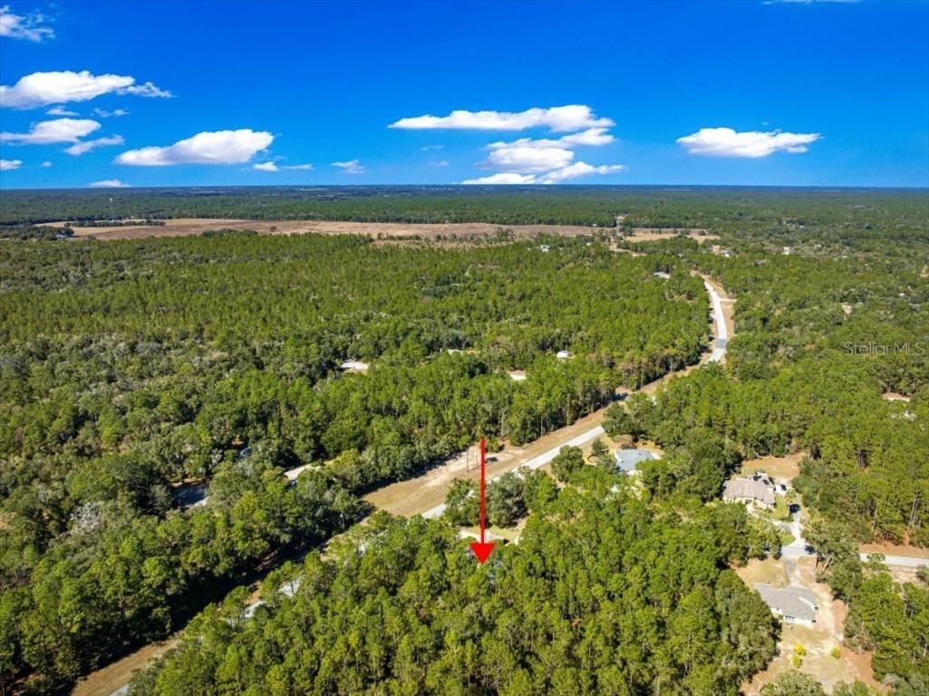 7535 SW 185th Avenue Road Dunnellon FL 34432 OM713516 image53