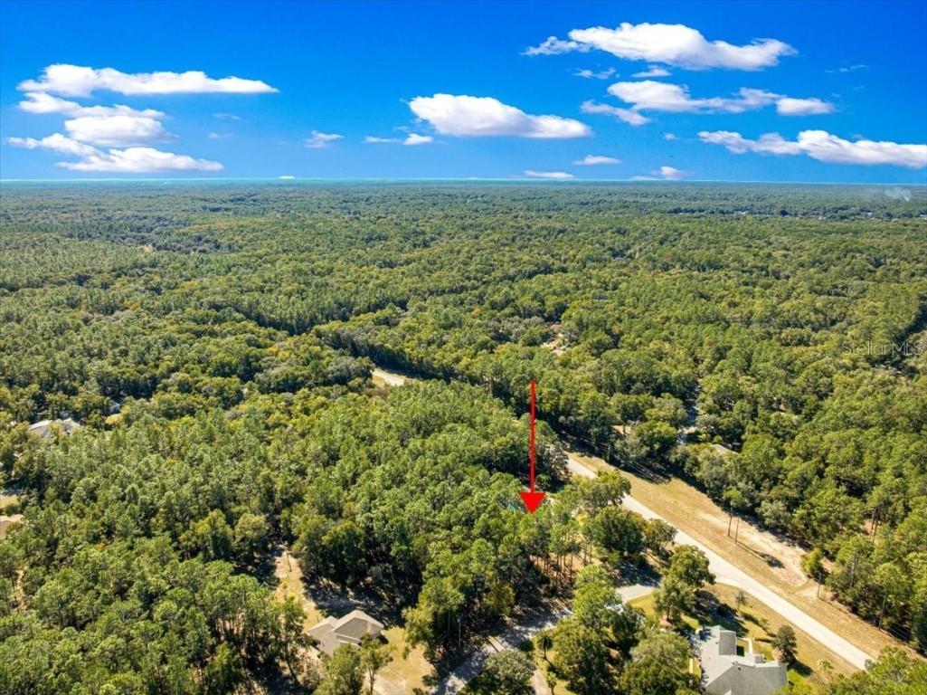 7535 SW 185th Avenue Road Dunnellon FL 34432 OM713516 image54