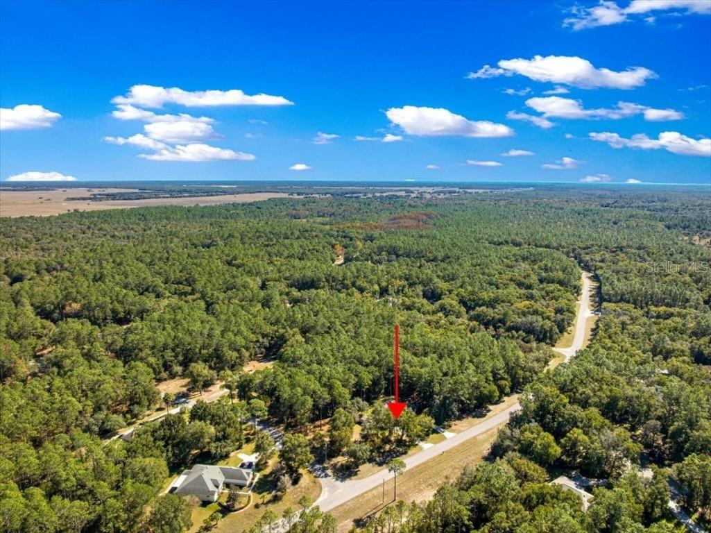 7535 SW 185th Avenue Road Dunnellon FL 34432 OM713516 image55