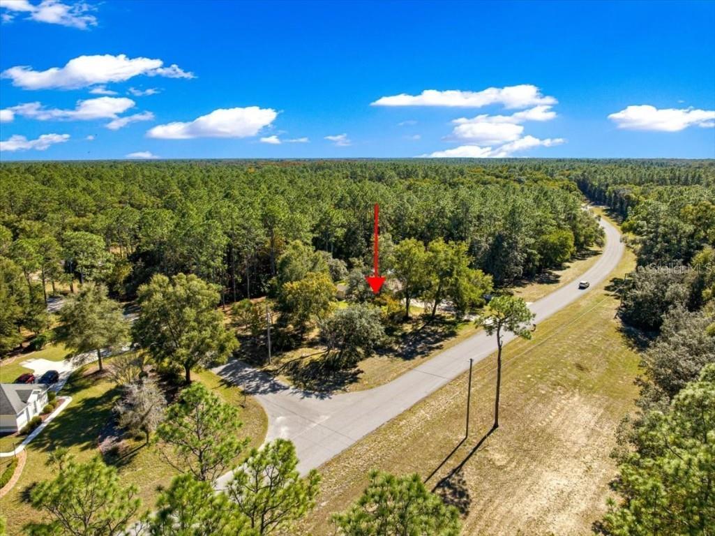 7535 SW 185th Avenue Road Dunnellon FL 34432 OM713516 image56