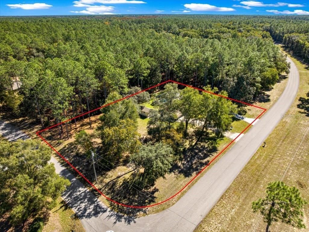 7535 SW 185th Avenue Road Dunnellon FL 34432 OM713516 image57