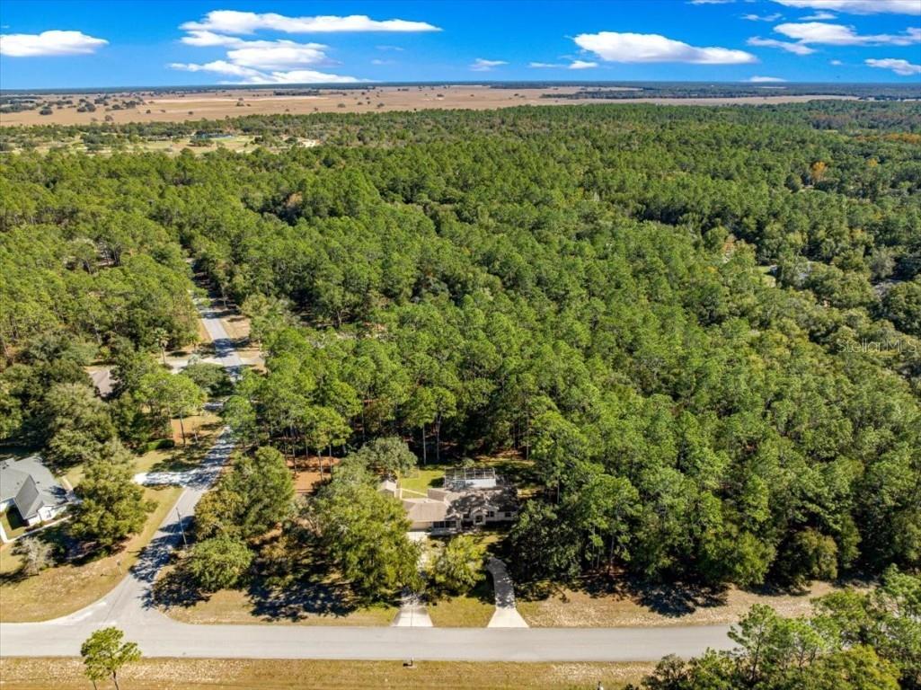 7535 SW 185th Avenue Road Dunnellon FL 34432 OM713516 image60