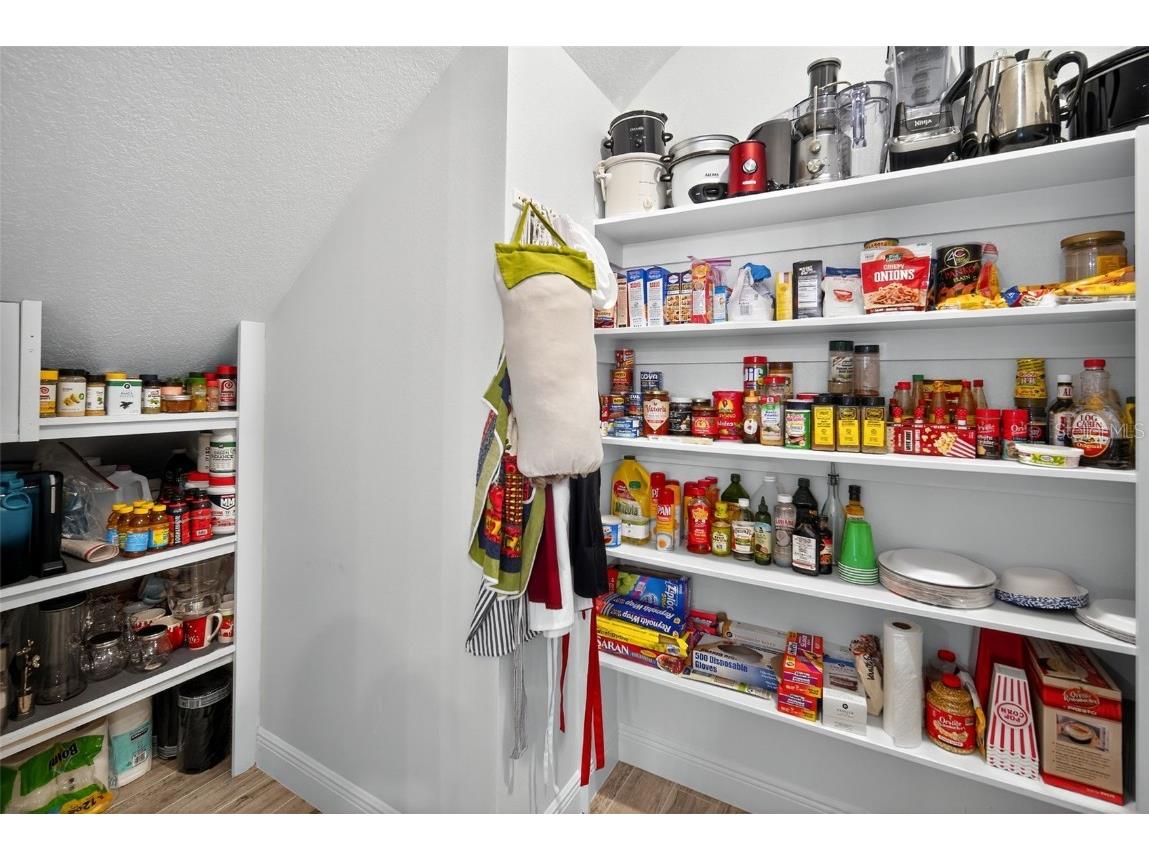 7536 Ashbrooke Pine Loop Odessa FL 33556 TB8437384 image12