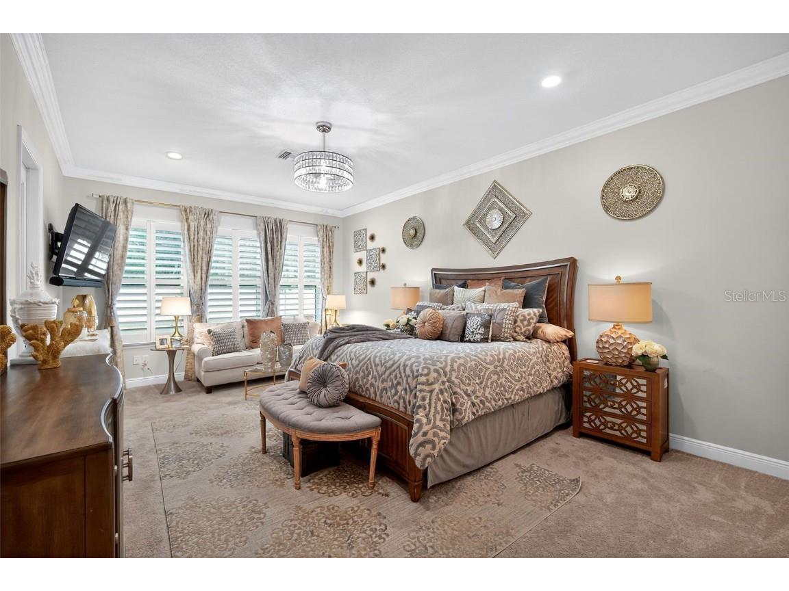 7536 Ashbrooke Pine Loop Odessa FL 33556 TB8437384 image16