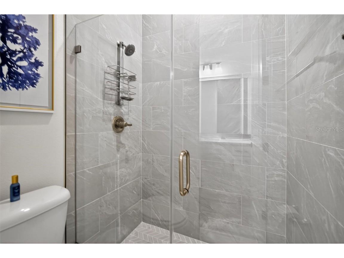 7536 Ashbrooke Pine Loop Odessa FL 33556 TB8437384 image28