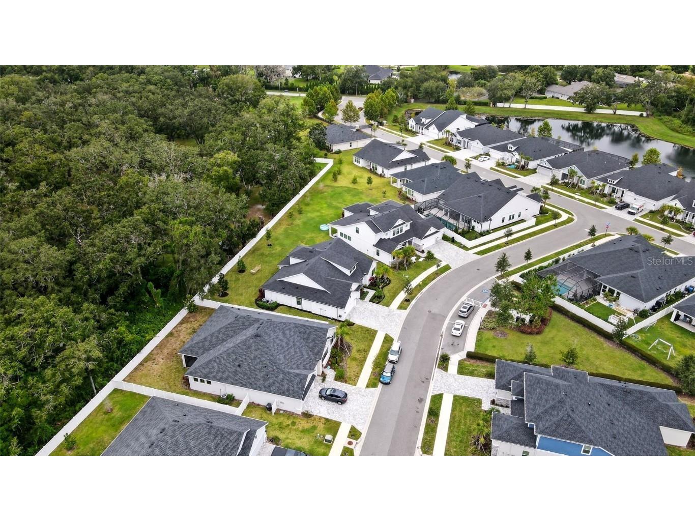 7536 Ashbrooke Pine Loop Odessa FL 33556 TB8437384 image38