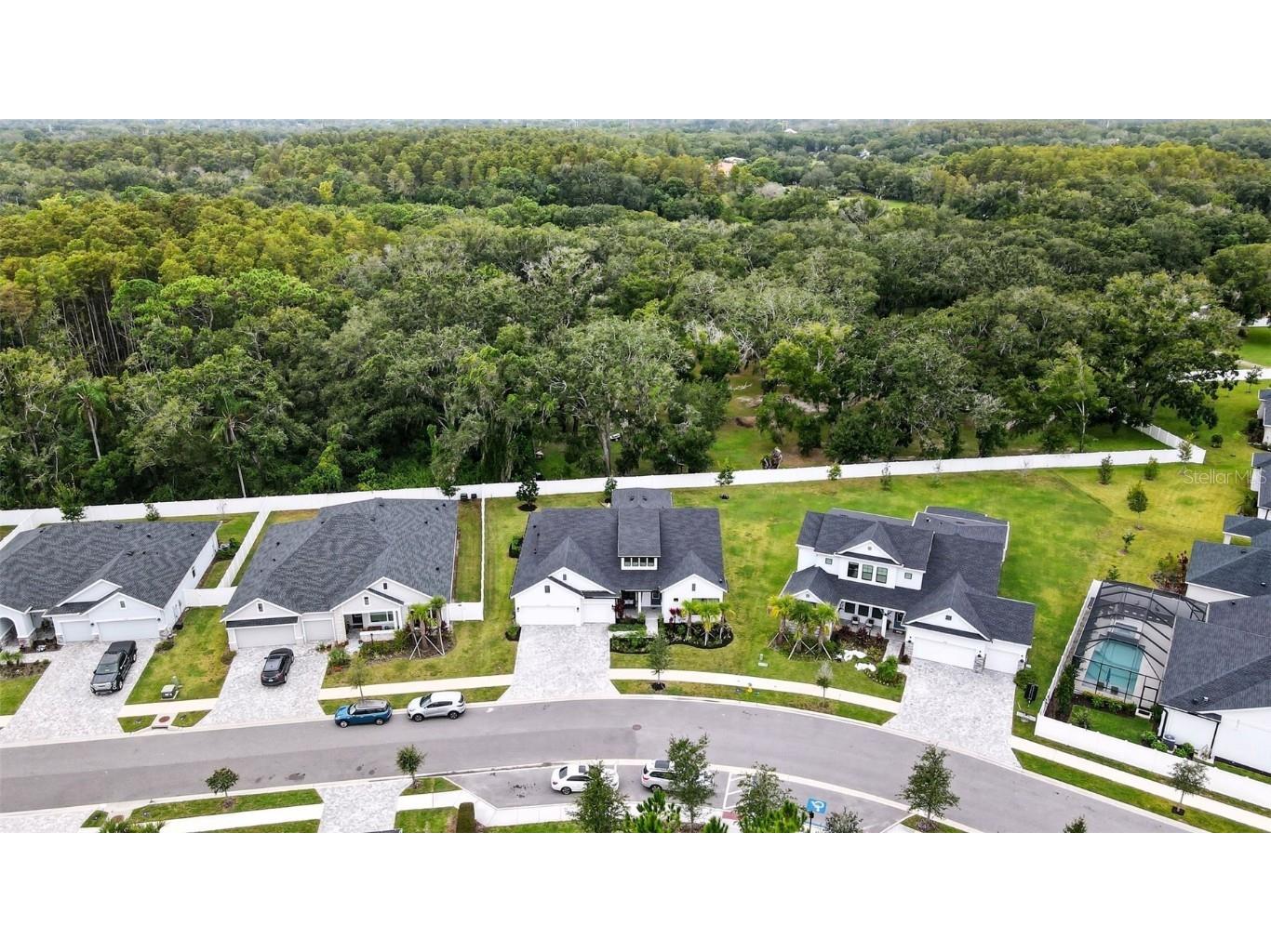 7536 Ashbrooke Pine Loop Odessa FL 33556 TB8437384 image40