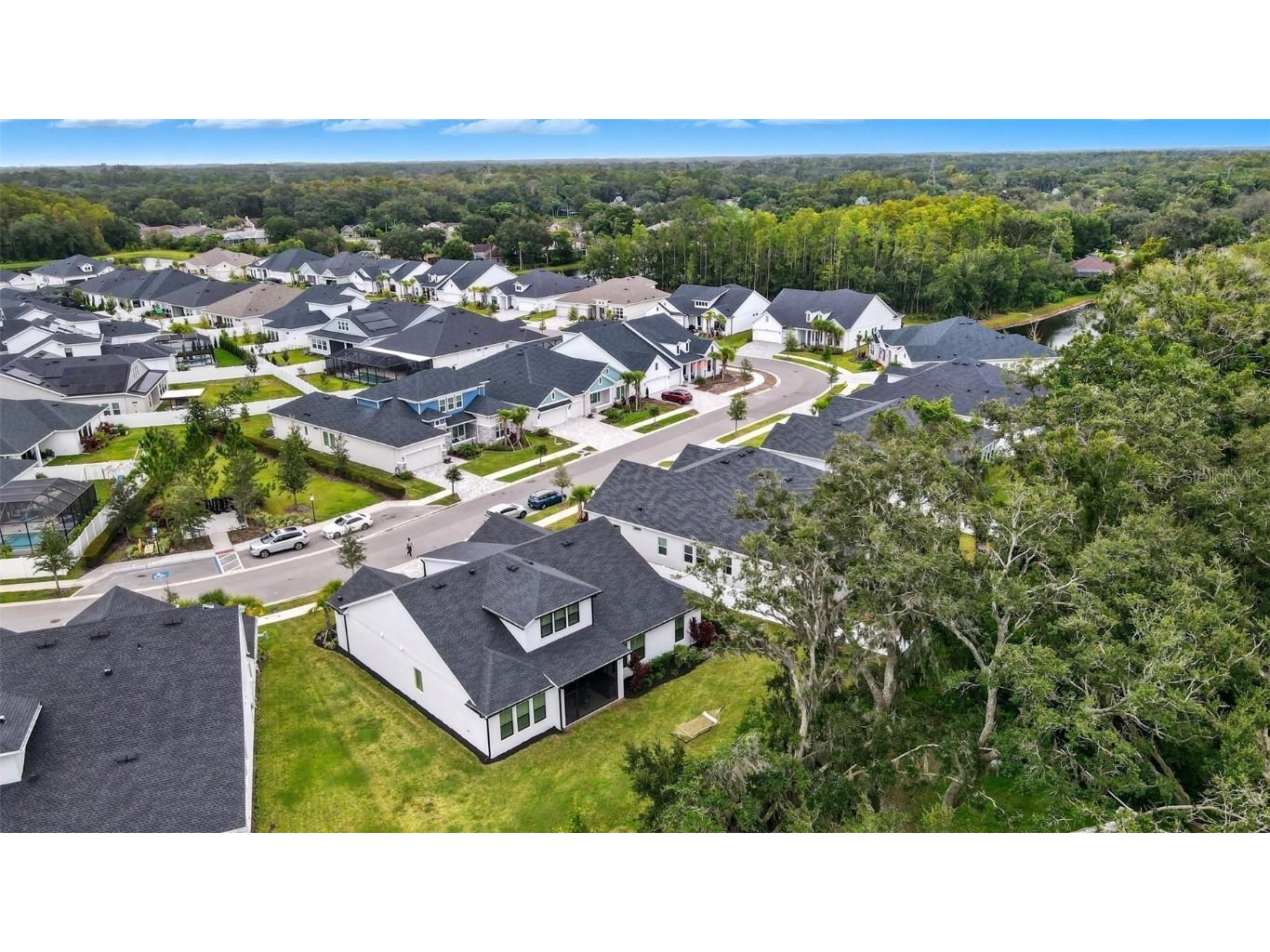 7536 Ashbrooke Pine Loop Odessa FL 33556 TB8437384 image43