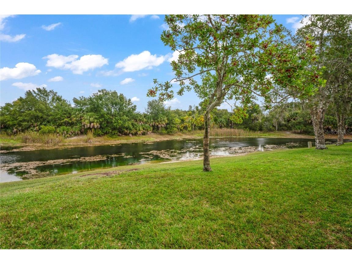 7536 Heather Walk Drive Weeki Wachee FL 34613 W7879817 image38