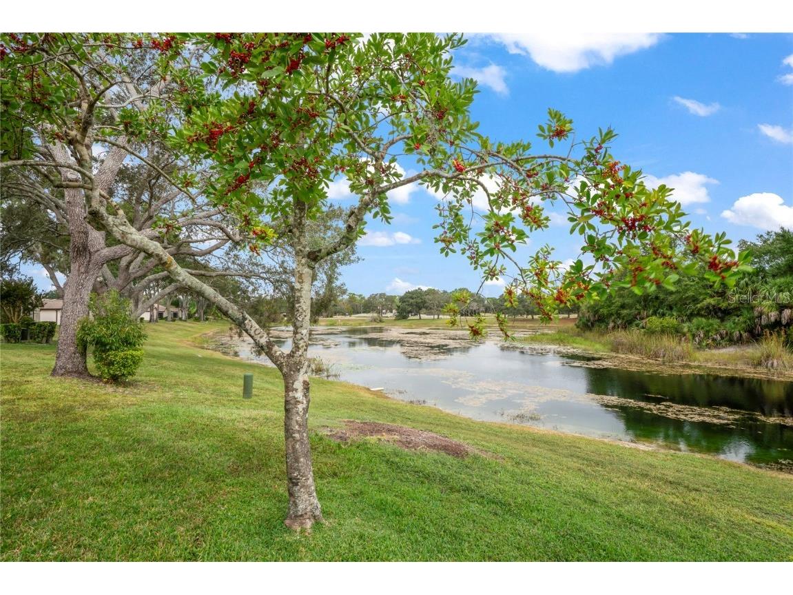 7536 Heather Walk Drive Weeki Wachee FL 34613 W7879817 image41