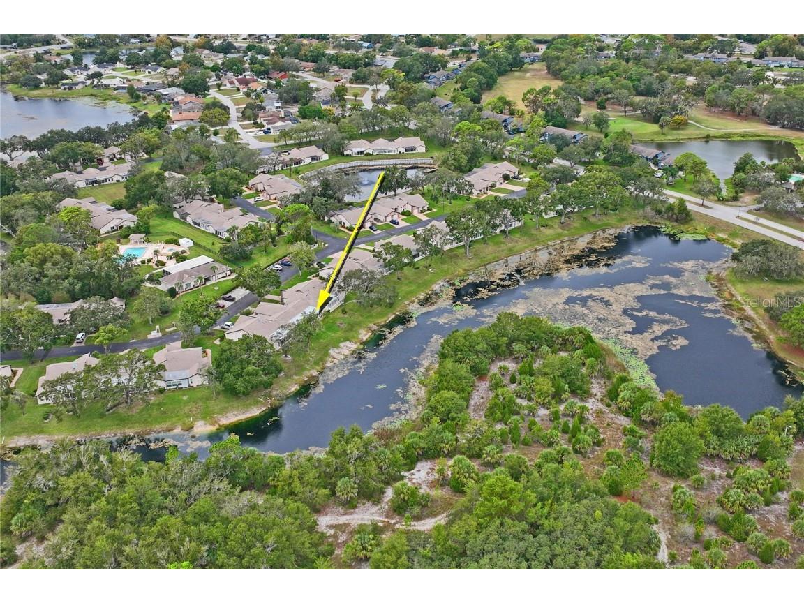 7536 Heather Walk Drive Weeki Wachee FL 34613 W7879817 image58