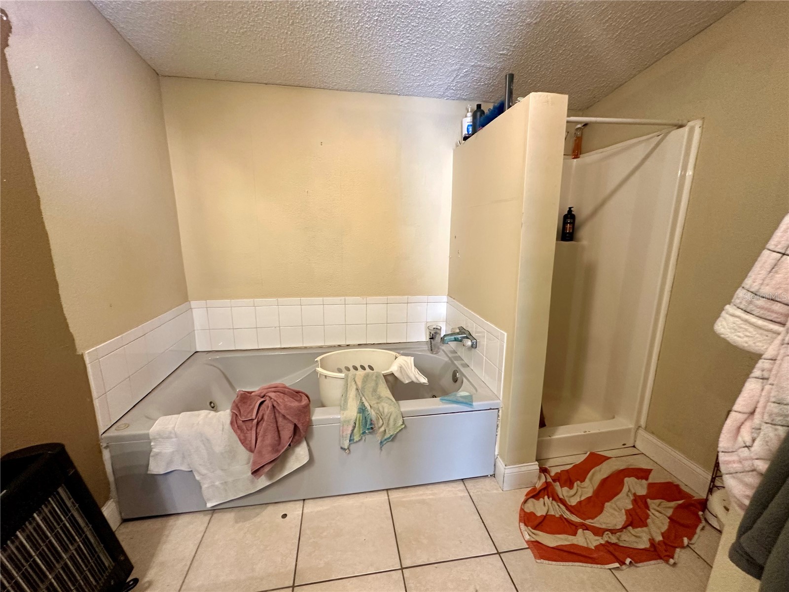 7536 Moffitt Road Land O Lakes FL 34638 TB8478928 image14