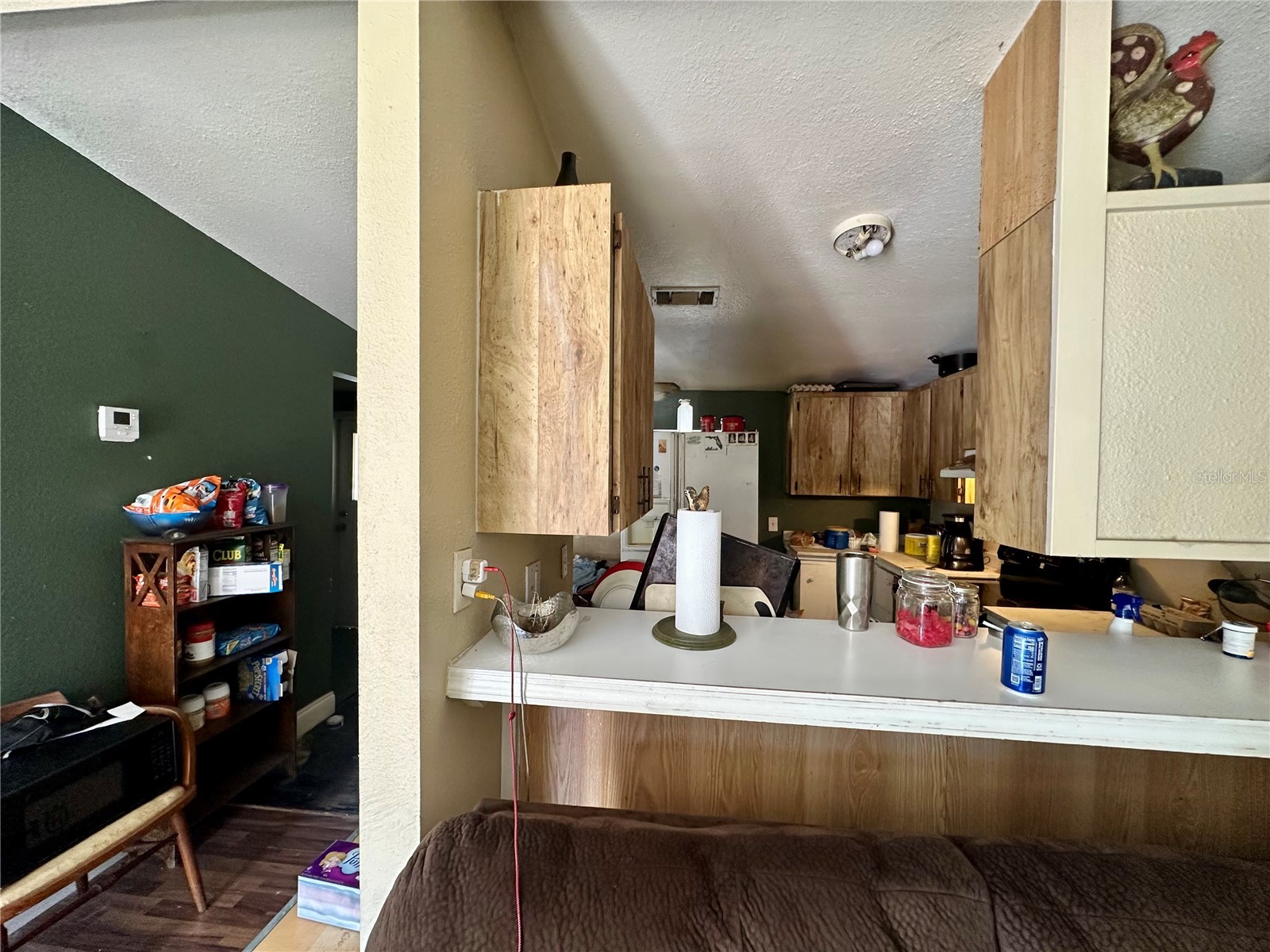 7536 Moffitt Road Land O Lakes FL 34638 TB8478928 image18