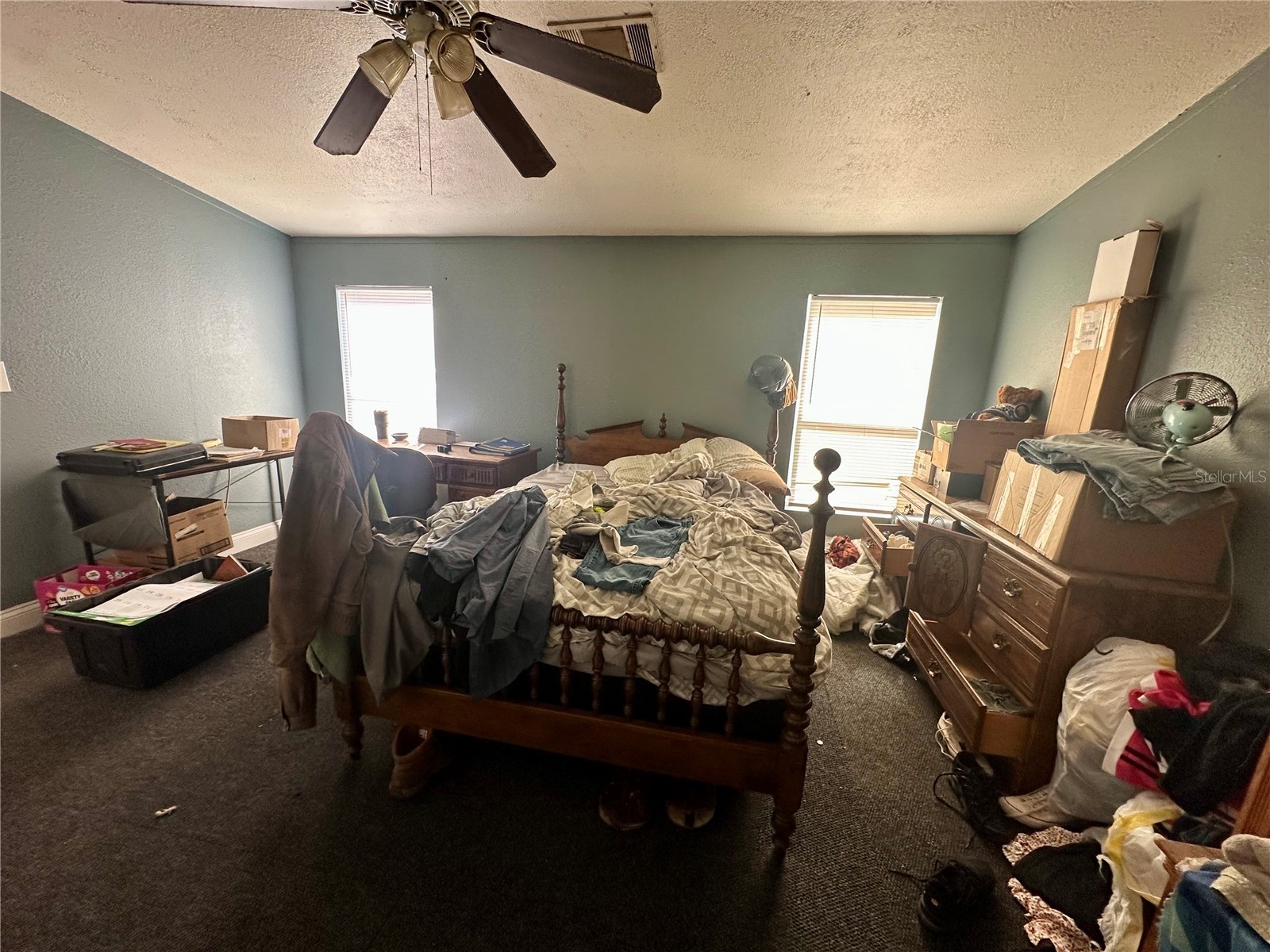 7536 Moffitt Road Land O Lakes FL 34638 TB8478928 image20