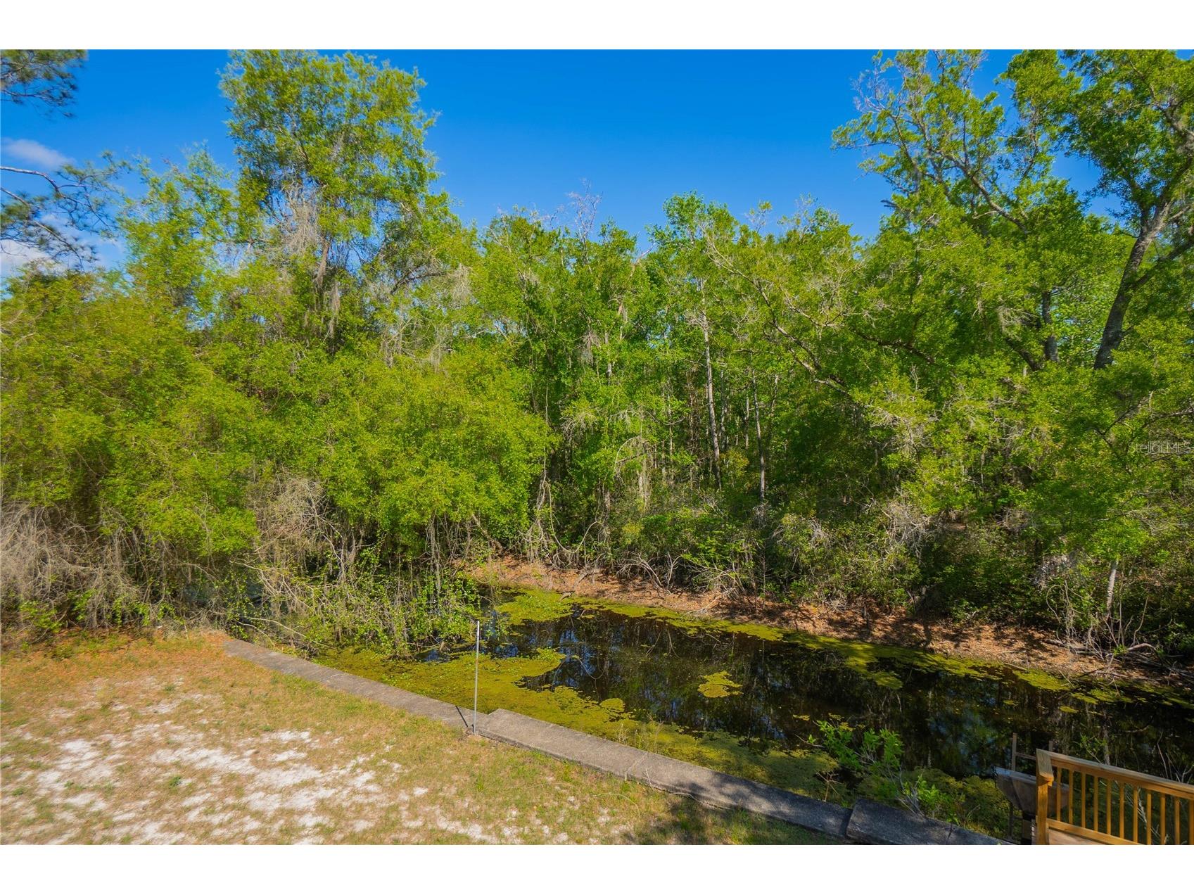7536 S Bobcat Point Floral City FL 34436 OM724821 image31