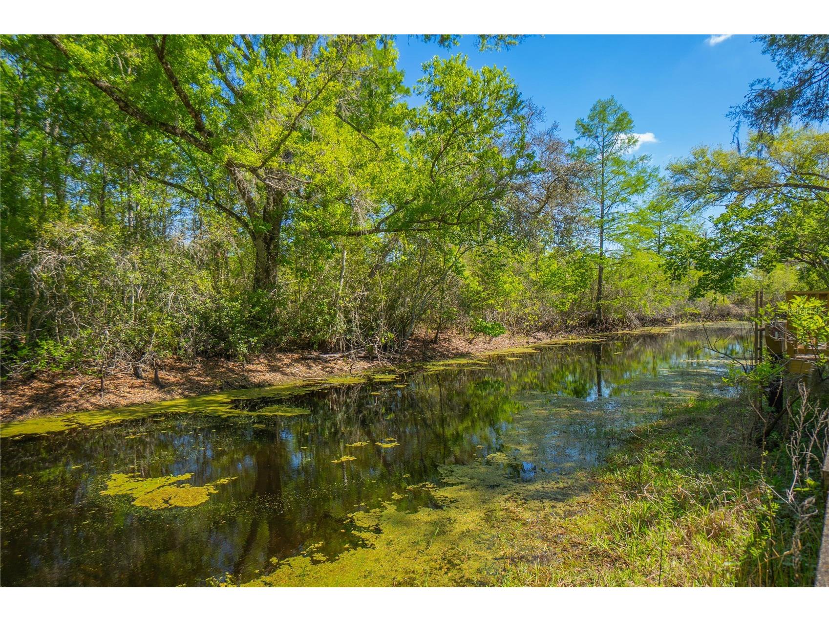 7536 S Bobcat Point Floral City FL 34436 OM724821 image43