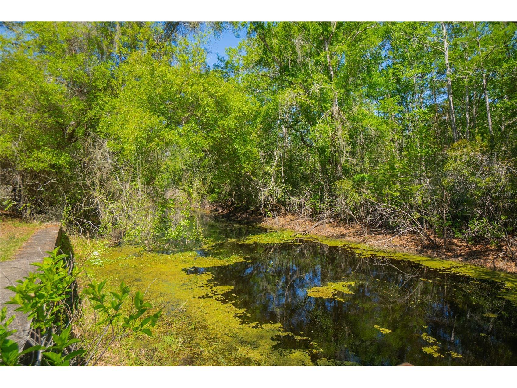 7536 S Bobcat Point Floral City FL 34436 OM724821 image44