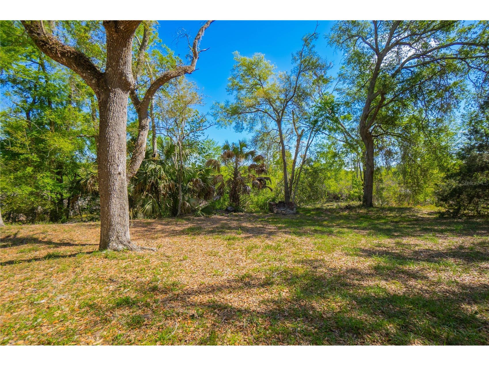 7536 S Bobcat Point Floral City FL 34436 OM724821 image50