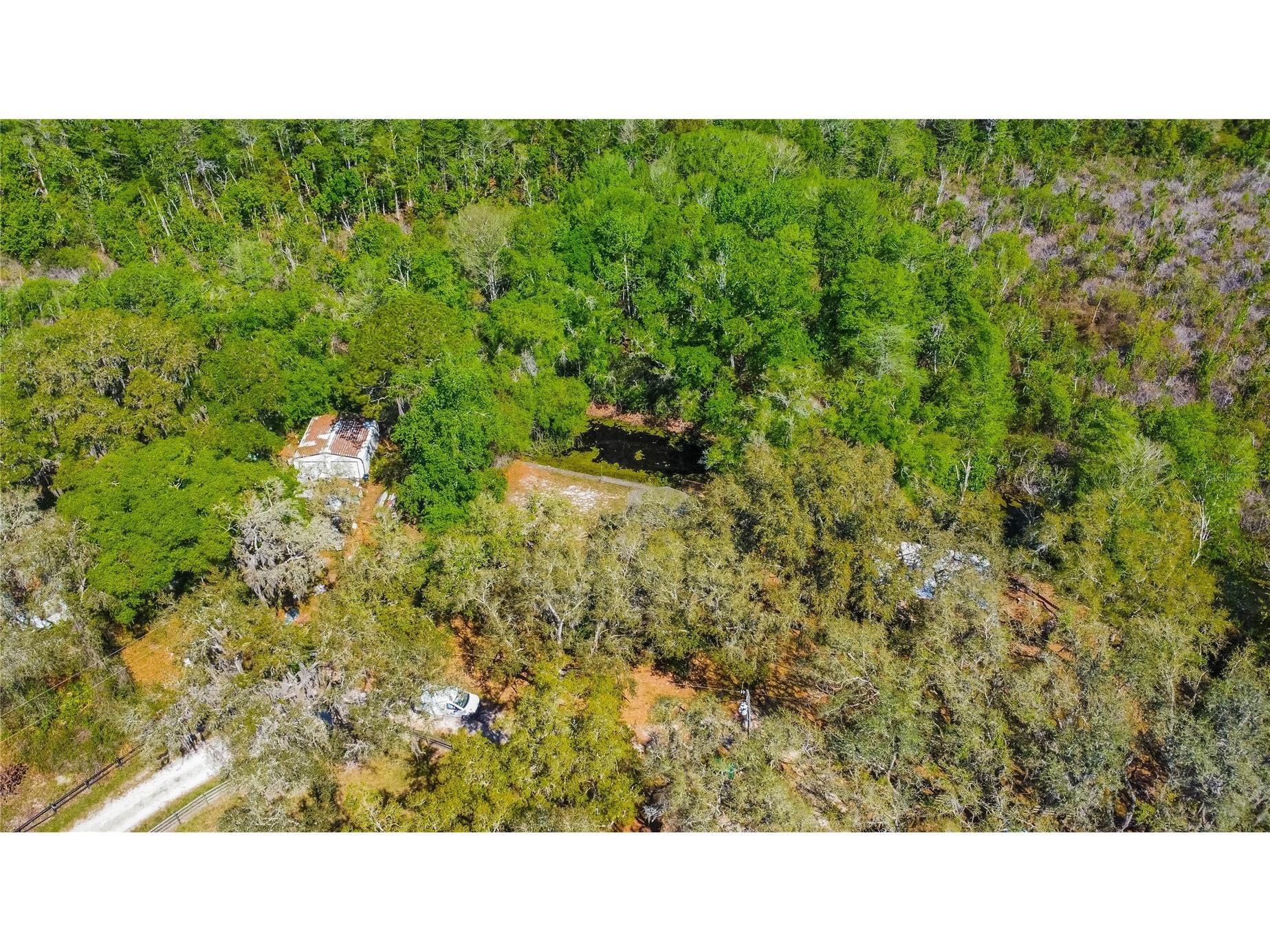 7536 S Bobcat Point Floral City FL 34436 OM724821 image52