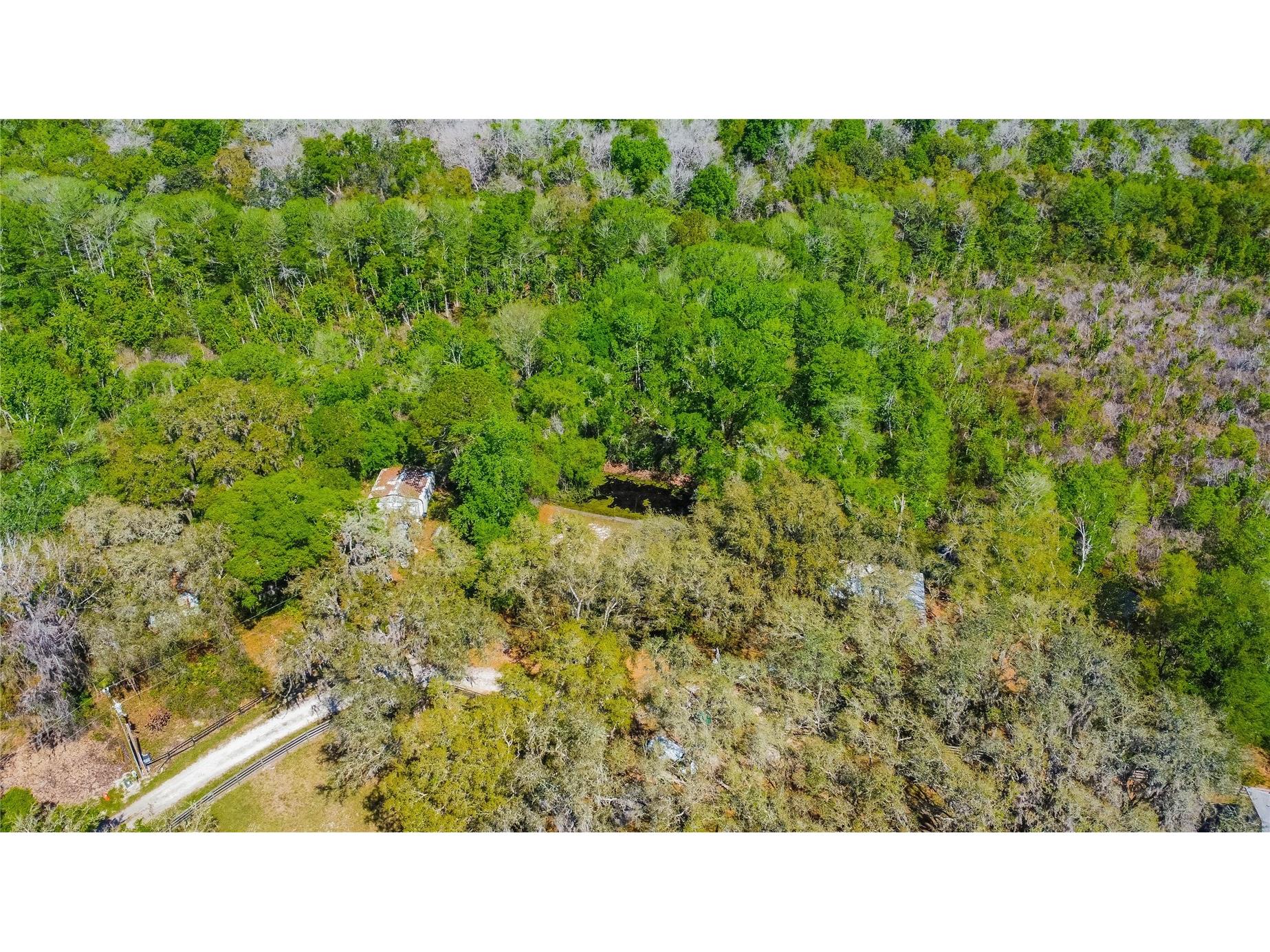 7536 S Bobcat Point Floral City FL 34436 OM724821 image53