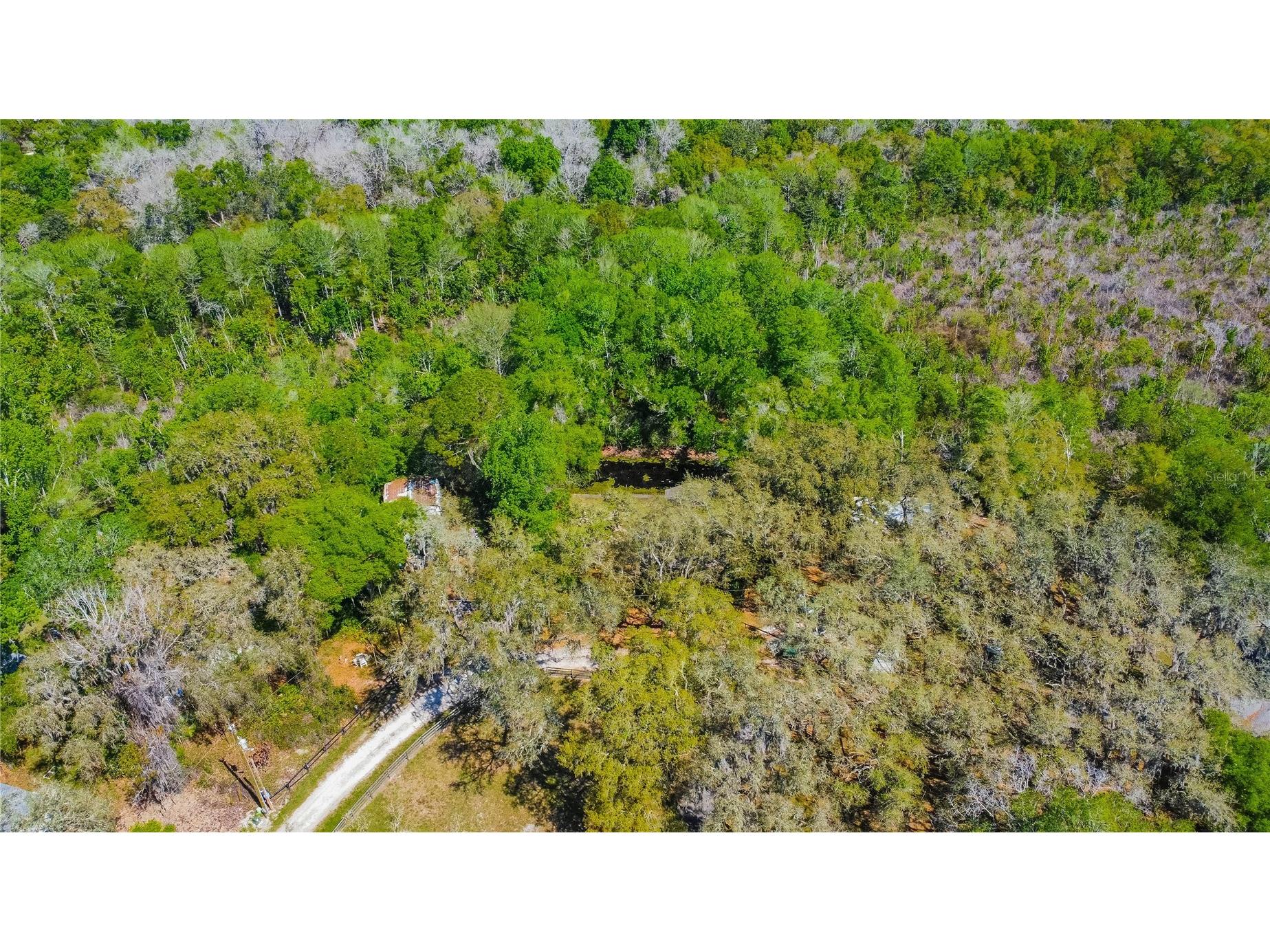 7536 S Bobcat Point Floral City FL 34436 OM724821 image54