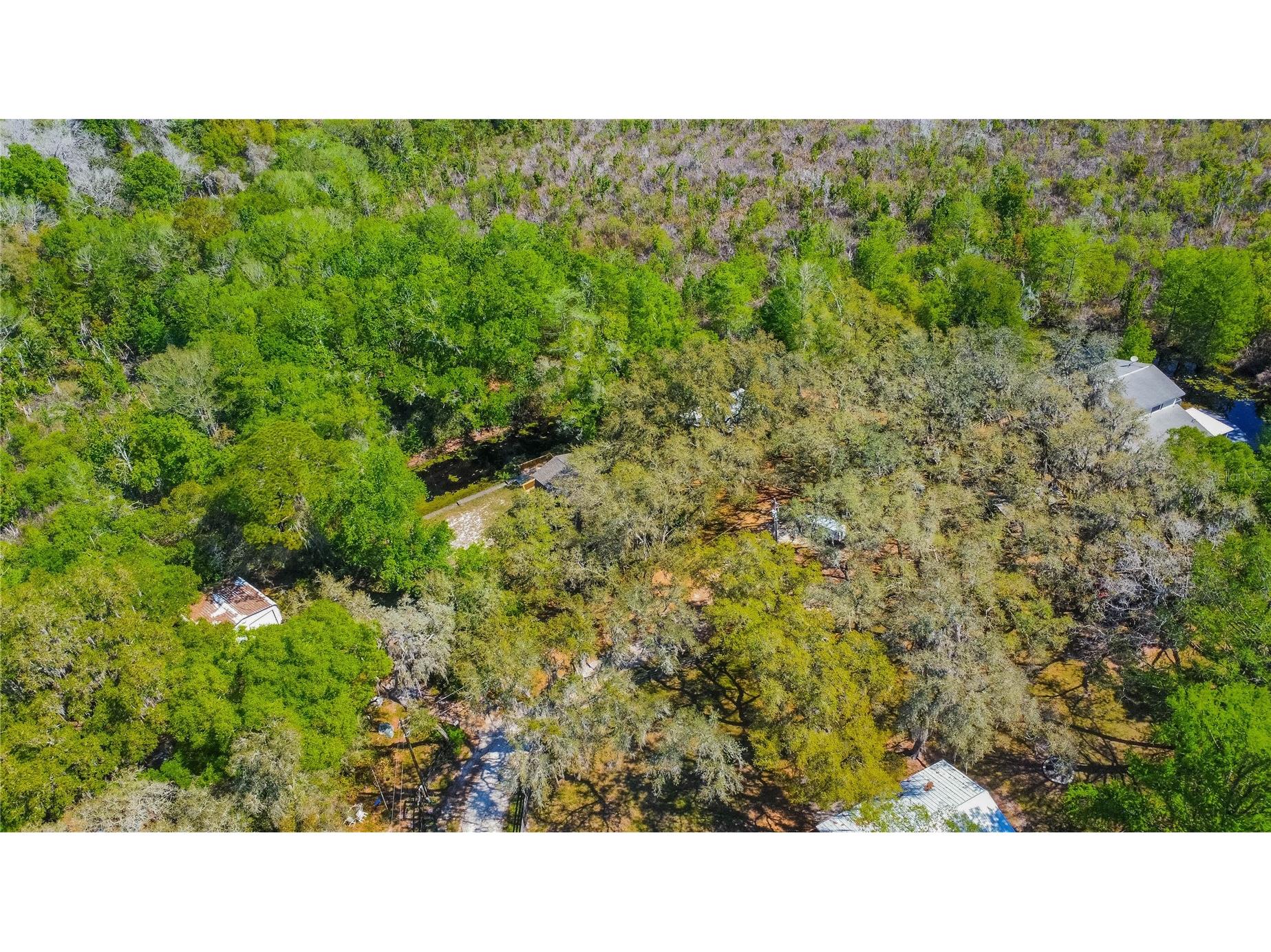 7536 S Bobcat Point Floral City FL 34436 OM724821 image55
