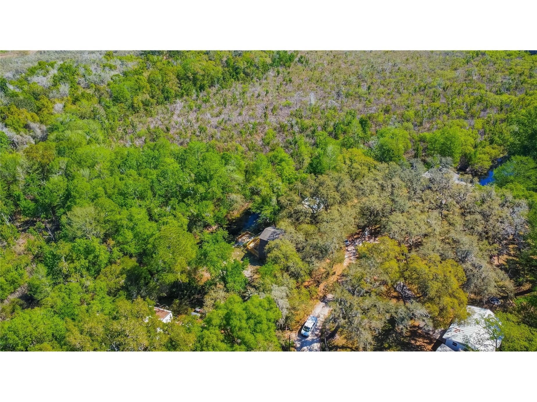 7536 S Bobcat Point Floral City FL 34436 OM724821 image56
