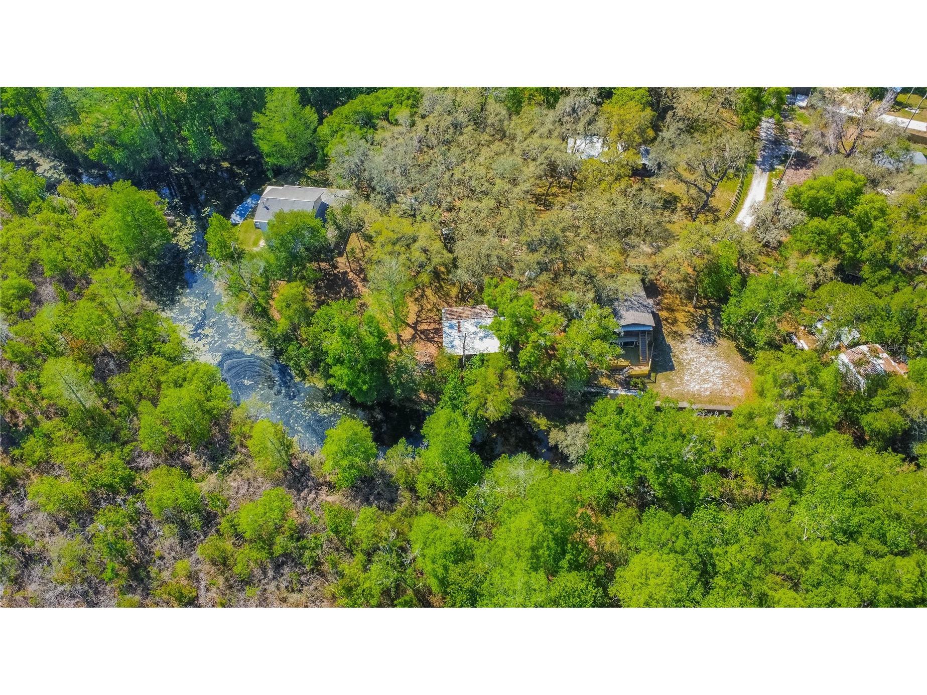 7536 S Bobcat Point Floral City FL 34436 OM724821 image60